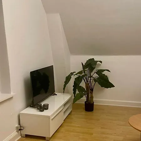 Nature Peaceful Place Hillerød